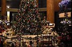 �|��ƽ��ҹ��՝��