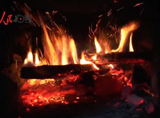 �t��t����~�ף�������ʳ���ρ�(l��i)
