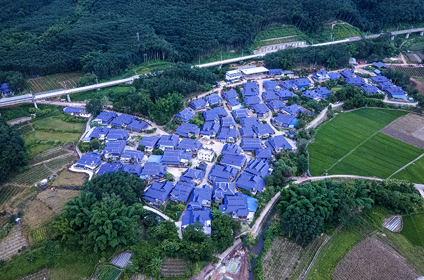 磨憨鎮(zhèn)曼莊村大龍哈小組現(xiàn)代化邊境幸福村新貌。人民網(wǎng)記者 符皓攝